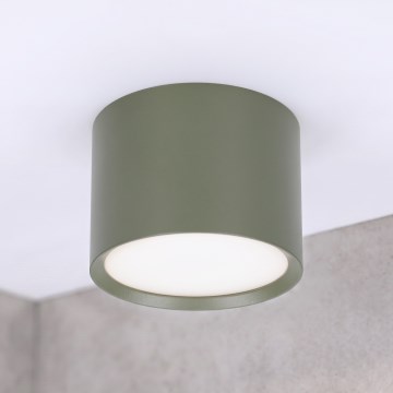 BRILAGI - Corp de iluminat tip spot SMOOTH 1xGX53/15W/230V 60x82 mm verde închis