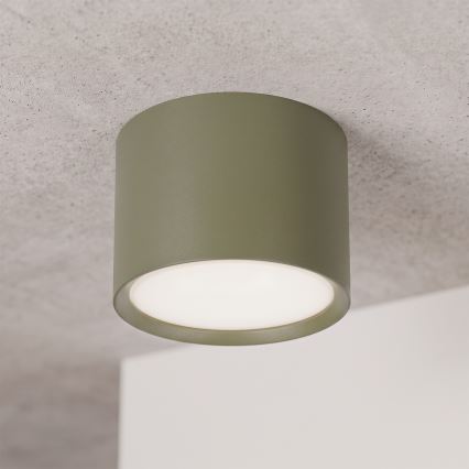 BRILAGI - Corp de iluminat tip spot SMOOTH 1xGX53/15W/230V 60x82 mm verde închis