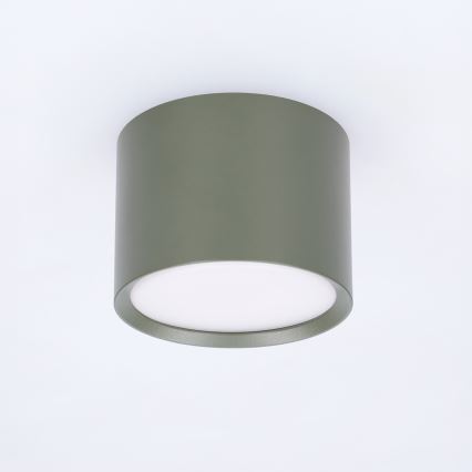 BRILAGI - Corp de iluminat tip spot SMOOTH 1xGX53/15W/230V 60x82 mm verde închis