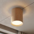 BRILAGI - Corp de iluminat tip spot SMOOTH LONG 1xGX53/15W/230V 100x82 mm finisaj stejar