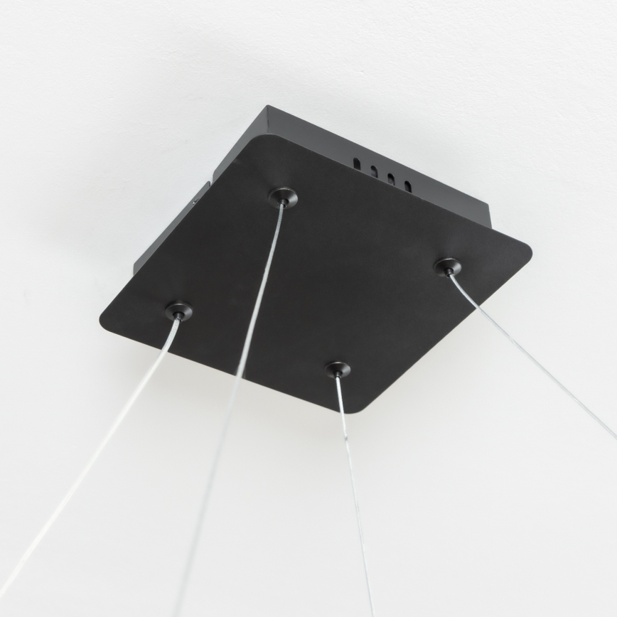 Brilagi - Lustră LED dimabilă suspendată pe cablu FALCON SLIM LED/50W/230V 3000-6500K 50x50 cm neagră + telecomandă