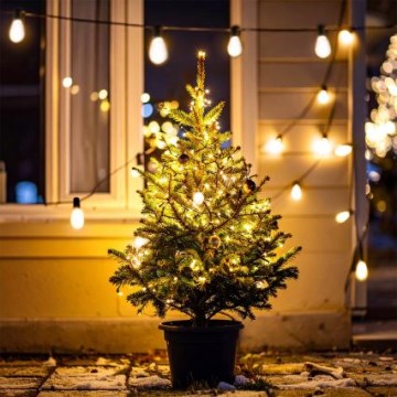 Brilagi - Ghirlandă decorativă LED pentru exterior 10xLED/3xAA 3,2m IP44 alb cald