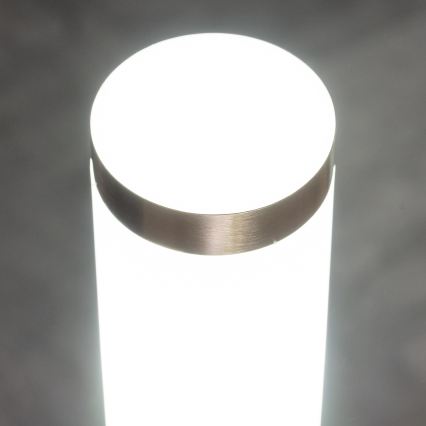 BRILAGI - Lampă de exterior ELIA 1xE27/20W/230V IP44 100 cm crom mat