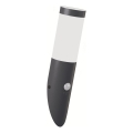 Brilagi - Lampă de perete pentru exterior cu senzor de mișcare ELIA 1xE27/20W/230V IP44 antracit