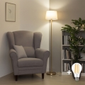 Brilagi - Lampă de podea LED CERIA 1xE27/20W/230V Ø 30 cm bej/auriu