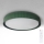 Brilagi - Lampă de tavan LED dimabilă LUCIA LED/60W/230V 3000-6500K Ø 59 cm verde + telecomandă
