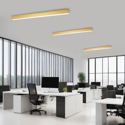 Brilagi - Plafonieră LED dimmabilă SLEEKLINE SMART LED/40W/230V 3000-6000K Wi-Fi Tuya auriu + telecomandă