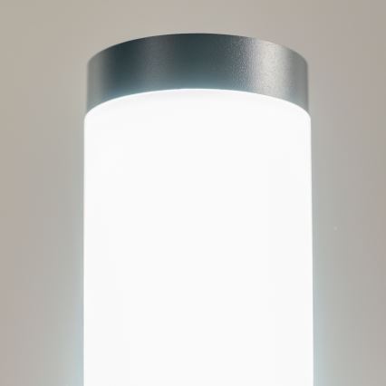 BRILAGI - Lampă LED de exterior cu priză ELIA 1xE27/7W/230V 4000K IP44 50 cm antracit