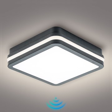 Brilagi - Lampă LED de exterior cu senzor BENE LED/18W/230V 22x22 cm antracit IP54