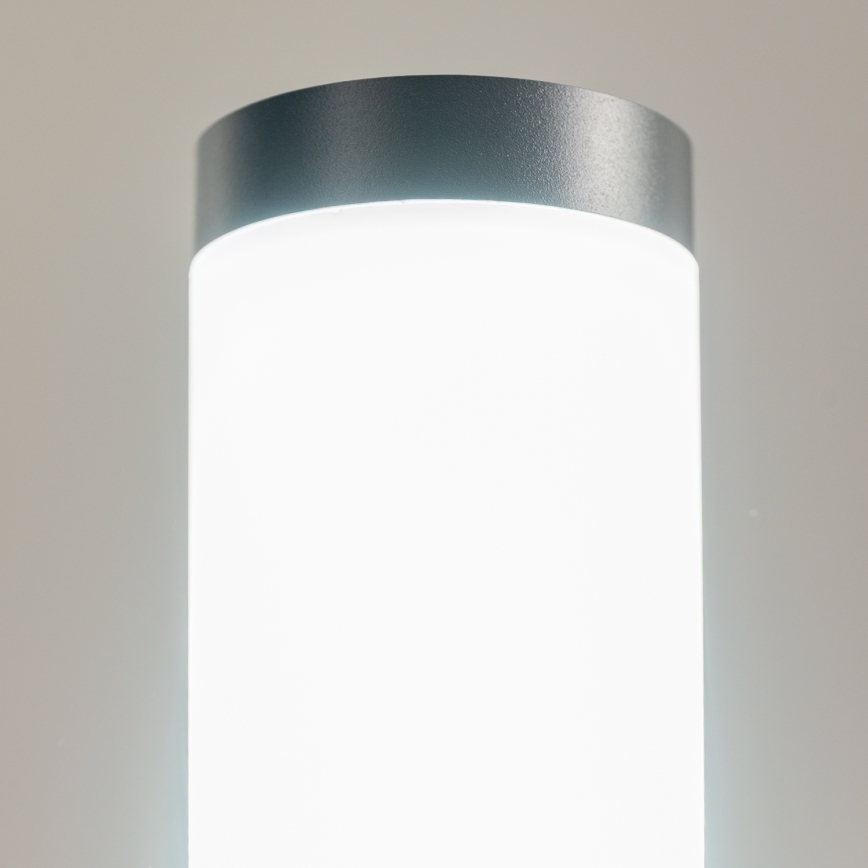 BRILAGI - Lampă LED de exterior ELIA 1xE27/7W/230V 4000K IP44 100 cm antracit
