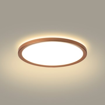 Brilagi - Lampă LED de tavan pentru baie ULTRA SLIM LED/12W/230V Ø22,5 cm aur roz IP54