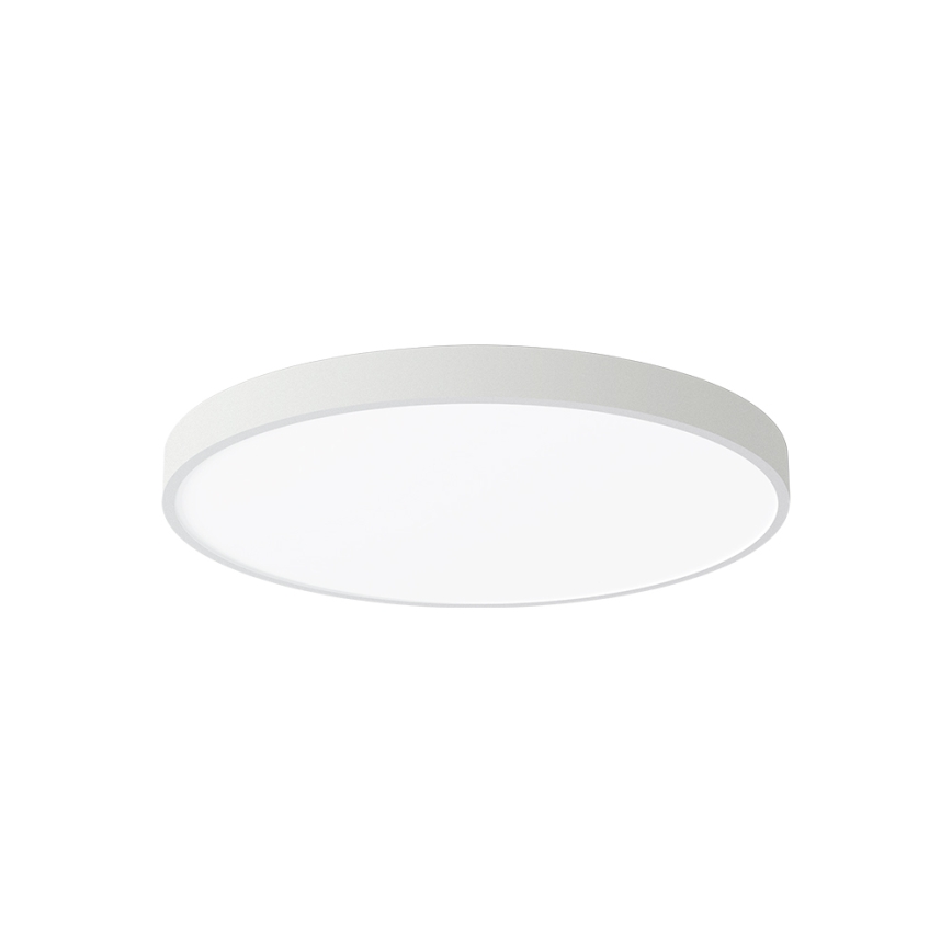 Brilagi - Lampă LED de tavan POOL LED/60W/230V 3000/4000/6000K 50 cm albă