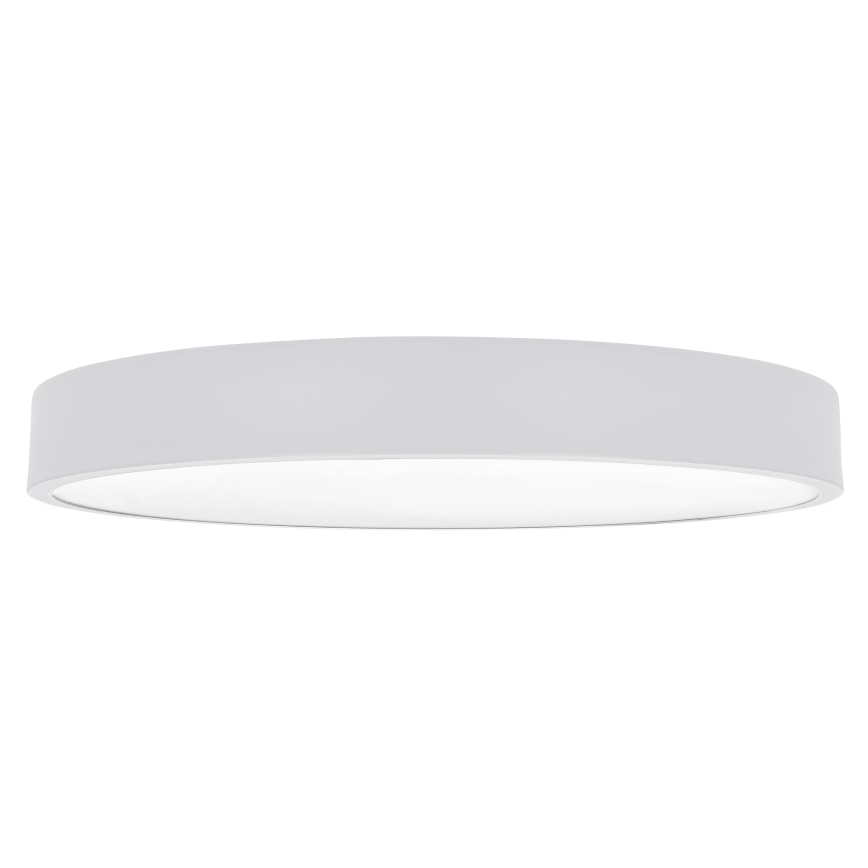 Brilagi - Lampă LED de tavan POOL LED/60W/230V 3000/4000/6000K 50 cm albă