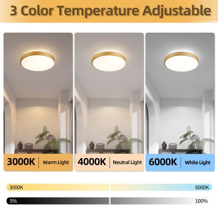 Brilagi - Plafonieră LED reglabilă GLASS POOL DOUBLE LED/48W/230V 3000-6000K 40 cm aurie + telecomandă
