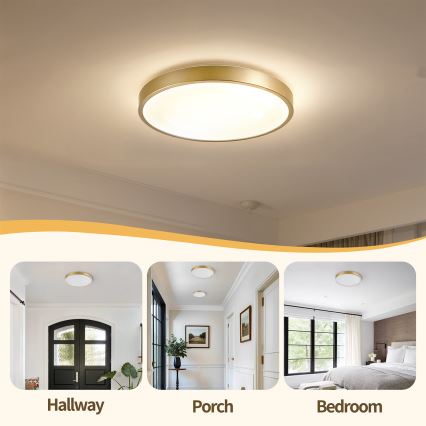 Brilagi - Plafonieră LED reglabilă GLASS POOL DOUBLE LED/48W/230V 3000-6000K 40 cm aurie + telecomandă