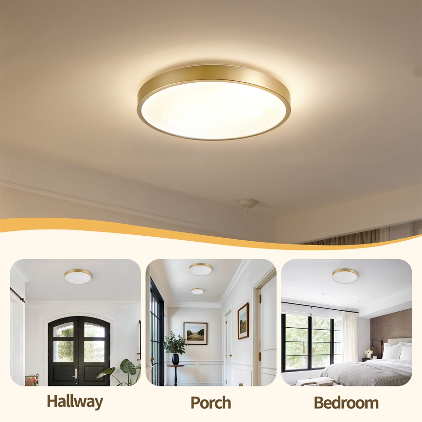 Brilagi - Plafonieră LED reglabilă GLASS POOL DOUBLE LED/48W/230V 3000-6000K 40 cm aurie + telecomandă