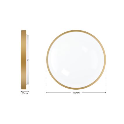 Brilagi - Plafonieră LED reglabilă GLASS POOL DOUBLE LED/48W/230V 3000-6000K 40 cm aurie + telecomandă