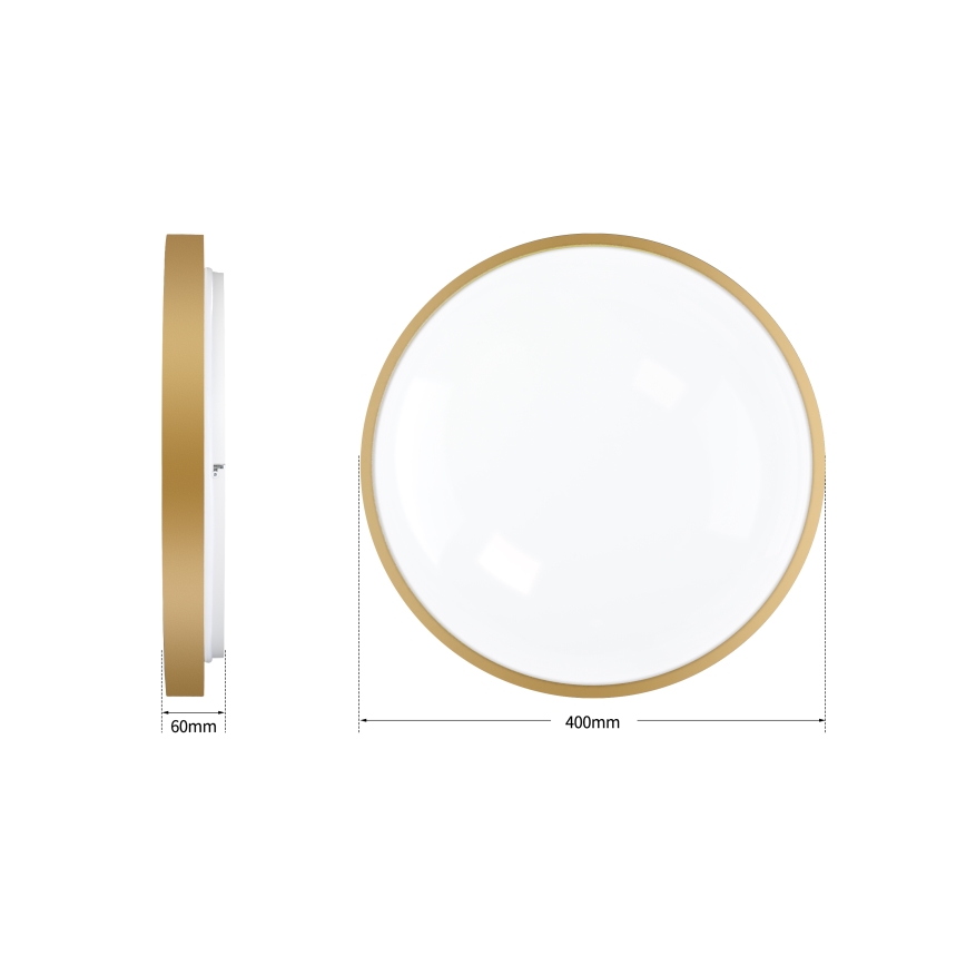 Brilagi - Plafonieră LED reglabilă GLASS POOL DOUBLE LED/48W/230V 3000-6000K 40 cm aurie + telecomandă