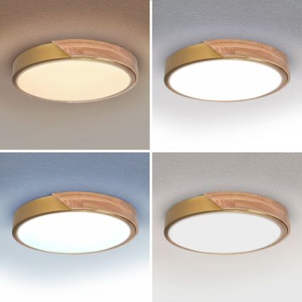 BRILAGI - Plafonieră LED dimabilă PILANA LED/48W/230V 3000-6500K stejar/auriu Ø 40 cm + cu telecomandă