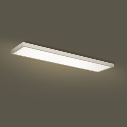 Plafonieră LED pentru baie Brilagi FRAME, 50W/230V, 3000/4000/6000K, 120x30 cm, IP44, argintiu