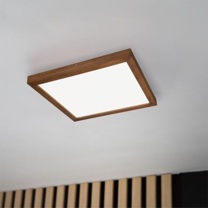 Brilagi - Plafonieră LED pentru baie WOODY FRAME, 40 W, 230 V, 60 x 60 cm, IP44, finisaj stejar/cireș
