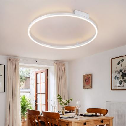 Brilagi - Plafonieră LED dimmabilă PORTOFINO, 60W, 230V, 3000–6000K, diametru 80 cm, argintie + telecomandă