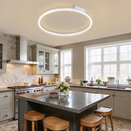 Brilagi - Plafonieră LED dimmabilă PORTOFINO, 60W, 230V, 3000–6000K, diametru 80 cm, argintie + telecomandă