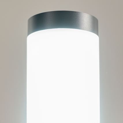BRILAGI - Lampă LED RGBW dimmabilă pentru exterior ELIA 1xE27/6,5W/230V 2700-6500K IP44 Wi-Fi 50 cm antracit