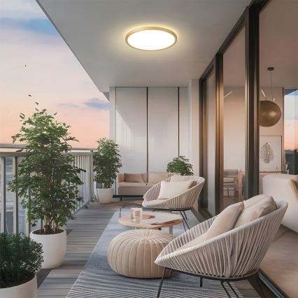 Brilagi - Plafonieră LED pentru baie ULTRA SLIM LED/24W/230V, Ø 42 cm, auriu, IP54