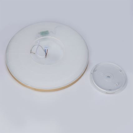 Brilagi - Plafonieră LED pentru baie ULTRA SLIM LED/24W/230V, Ø 42 cm, auriu, IP54