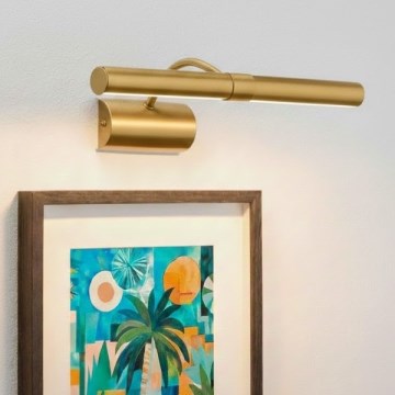 Brilagi - Lampă pentru tablouri DANAE 2xE14/40W/230V, auriu