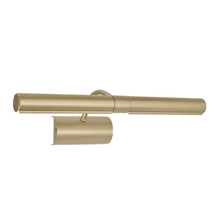 Brilagi - Lampă pentru tablouri DANAE 2xE14/40W/230V, auriu