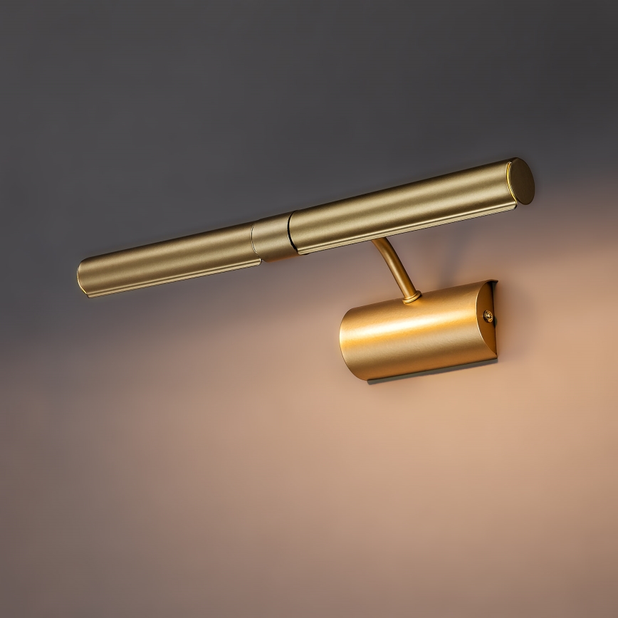 Brilagi - Lampă pentru tablouri DANAE 2xE14/40W/230V, auriu