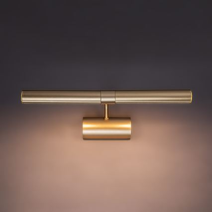 Brilagi - Lampă pentru tablouri DANAE 2xE14/40W/230V, auriu