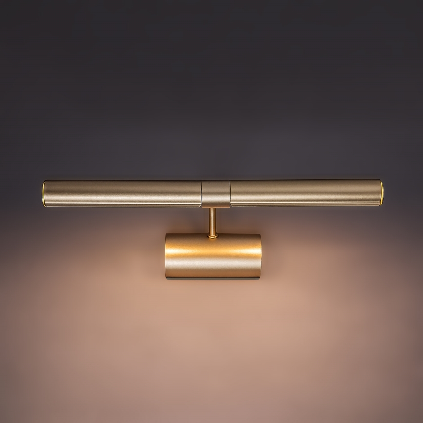 Brilagi - Lampă pentru tablouri DANAE 2xE14/40W/230V, auriu