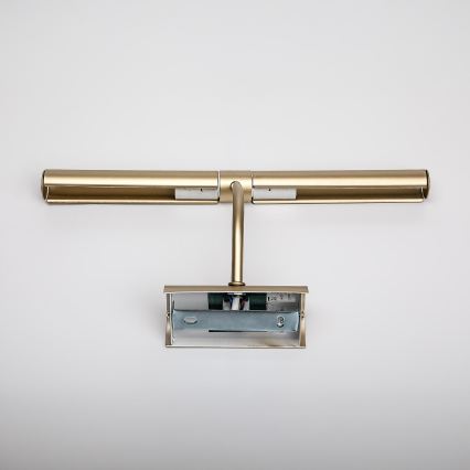 Brilagi - Lampă pentru tablouri DANAE 2xE14/40W/230V, auriu