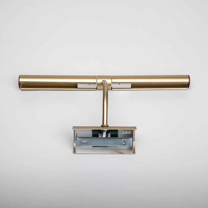 Brilagi - Lampă pentru tablouri DANAE 2xE14/40W/230V, auriu