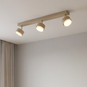 Brilagi - Lampă spot 3xGX53/12W/230V bej
