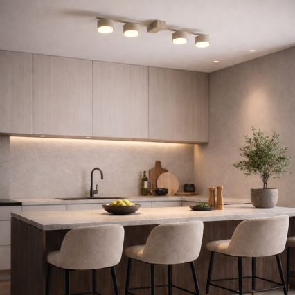 Brilagi - Lampă spot LED MONO 4xGX53/30W/230V bej