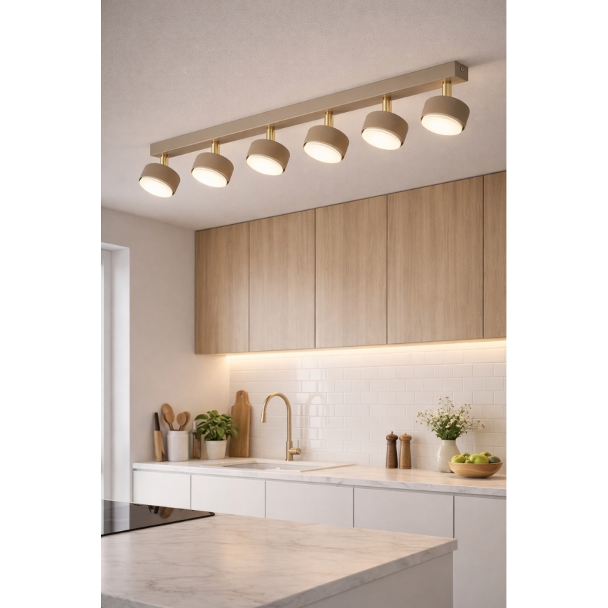 Brilagi - Lampă spot LED MONO 6xGX53/30W/230V bej/auriu