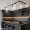 Brilagi - Lampă spot pe șină HUSKY 6xGU10/10W/230V negru/auriu