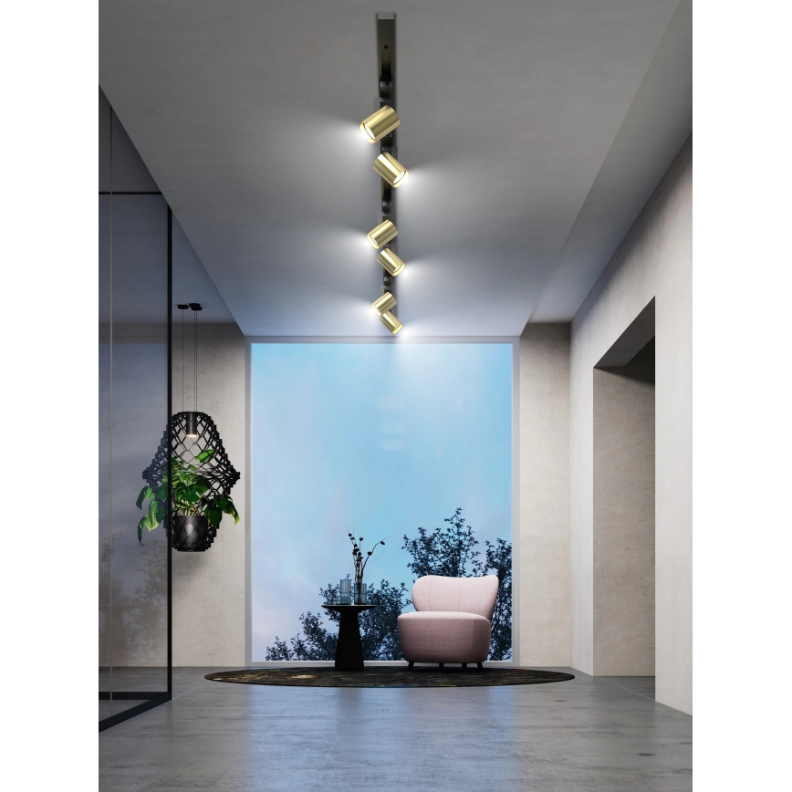Brilagi - Lampă spot pe șină HUSKY 6xGU10/10W/230V negru/auriu