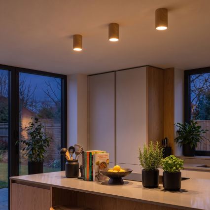 BRILAGI - Lampă spot TRINE 1xGU10/30W/230V decor stejar