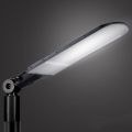 Brilagi - Lampă stradală LED de exterior URBANLIGHT LED/250W/230V negru IP65
