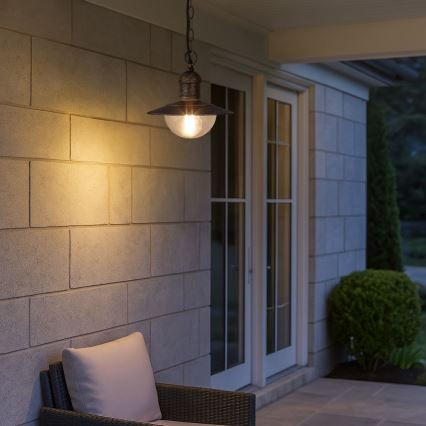 Brilagi - Lampă suspendată de exterior MOLDE 1xE27/60W IP44 bronz/patină