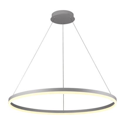 Brilagi - Lustră LED dimabilă pe cablu CIRCLE LED/55W/230V 3000-6500K Ø 80 cm albă + telecomandă
