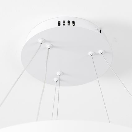 Brilagi - Lustră suspendată LED dimmerabilă FALCON SLIM, 68W, 230V, 3000-6500K, Ø 50 cm, albă + telecomandă
