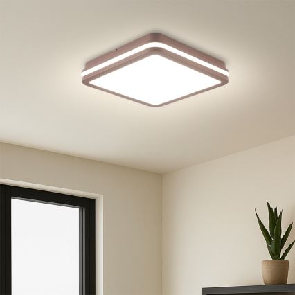 Brilagi - Plafonieră LED de exterior cu senzor BENE LED/24W/230V 26x26 cm maro IP54