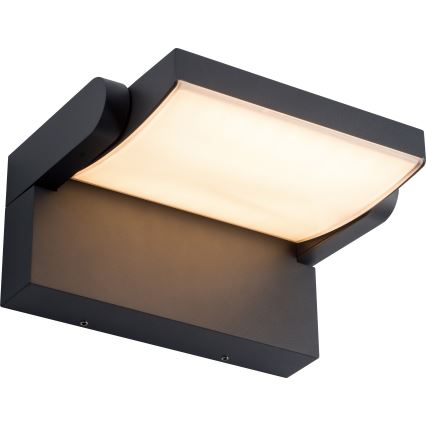 BRILAGI - LED Aplică de perete pentru exterior ANKLE LED/12W/230V IP65 neagră
