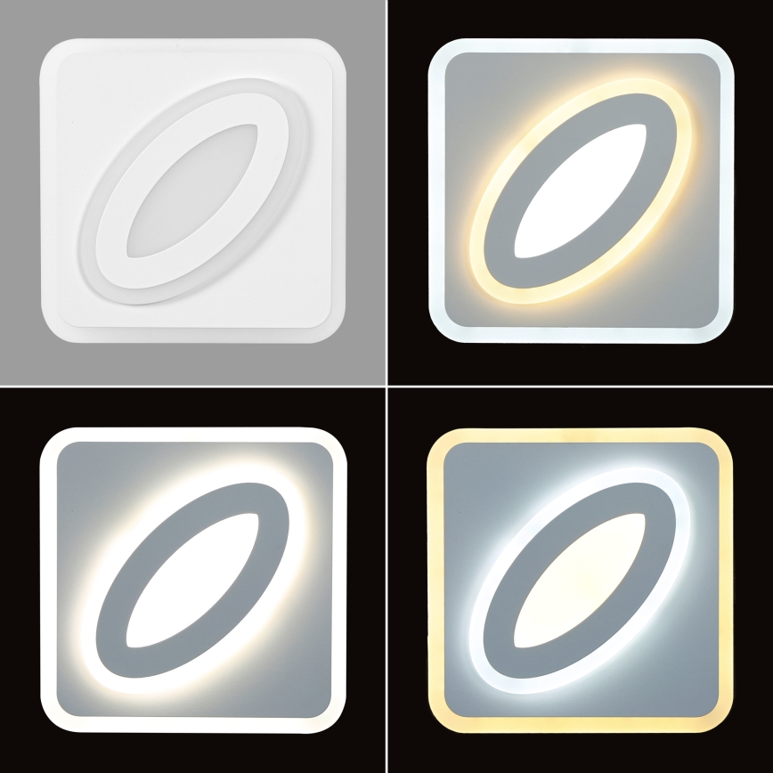 Brilagi - Aplica de perete LED MODERN MINI LED/32W/230V 3000/4000/6000K